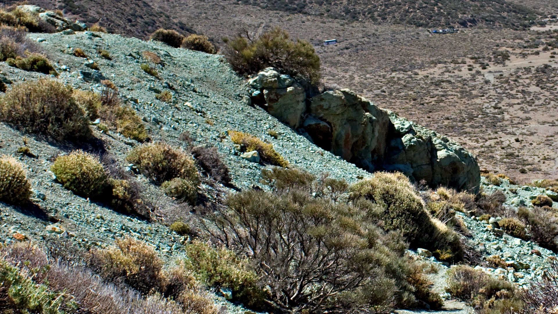 Die einzigartige Caldera de las Cañadas im Teide Nationalpark sunhikes